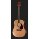 Chitara acustica H&B D-120NT