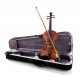 Vioara electro-acoustica HARLEY BENTON HBV 800 4/4