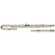 Flaut Garry Paul  GP-6456C
