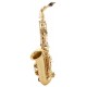 Saxofon Parrot 6430L Alto Mi b