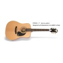 Chitara acustica EPIPHONE PRO-1