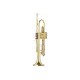 Trompeta Si b PARROT 6416 L