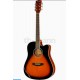 Chitara Electro-Acustica H&B VS