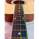 Chitara acustica FREEDOM AG-300 NT cu corzi colorate