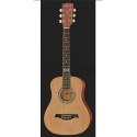 Chitara acustica H&B DS-10 Mini 1/2 + husa