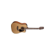Chitara Electro-acustica Takamine GD10CE-NS