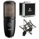 Microfon studio AKG P220