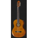 Chitara classica Yamaha C40