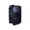 Boxa activa 12¨cu baterie, mp3 player,  2 microfoane wireless, ZZPB112