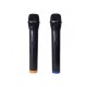 Boxa activa 12¨cu baterie, mp3 player,  2 microfoane wireless, ZZPB112