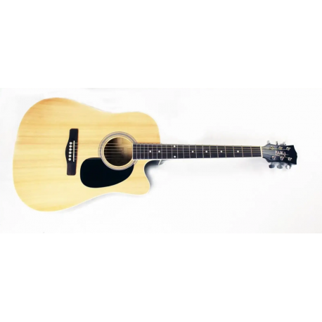 Chitara Electro-Acustica Pulse HW41CE-201N