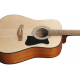 Ibanez V50NJP-OPN - Pachet Chitara Acustica cu Husa si Accesorii