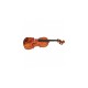 Karl Hoffmeister MV100 Conservatory Vioara 4/4