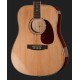 Chitara acustica H&B D-120NT
