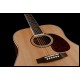 Chitara acustica H&B D-120NT