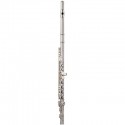 Flaut Garry Paul  GP-6456SE