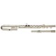 Flaut Garry Paul  GP-6456C
