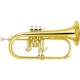 Corn Garry Paul  GP-6419